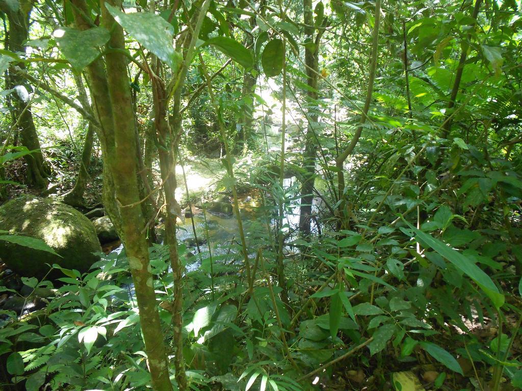 Recanto Marazul Ubatuba Esterno foto